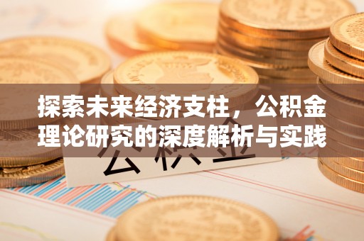社头探索未来经济支柱，公积金理论研究的深度解析与实践意义