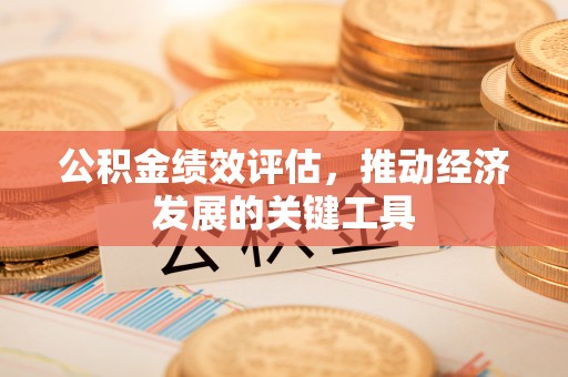 社头公积金绩效评估，推动经济发展的关键工具