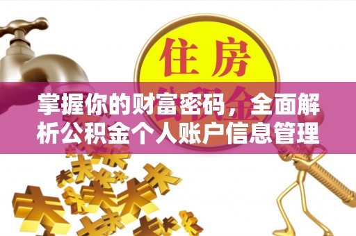 社头掌握你的财富密码，全面解析公积金个人账户信息管理与优化