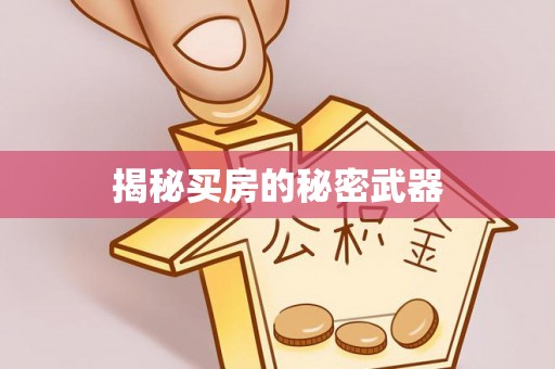 社头揭秘买房的秘密武器