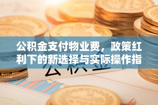 社头公积金支付物业费，政策红利下的新选择与实际操作指南