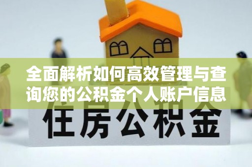 社头全面解析如何高效管理与查询您的公积金个人账户信息