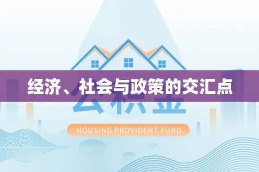 社头经济、社会与政策的交汇点