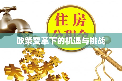 社头政策变革下的机遇与挑战