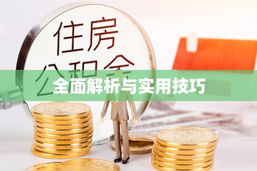社头全面解析与实用技巧