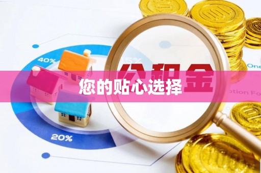 社头您的贴心选择
